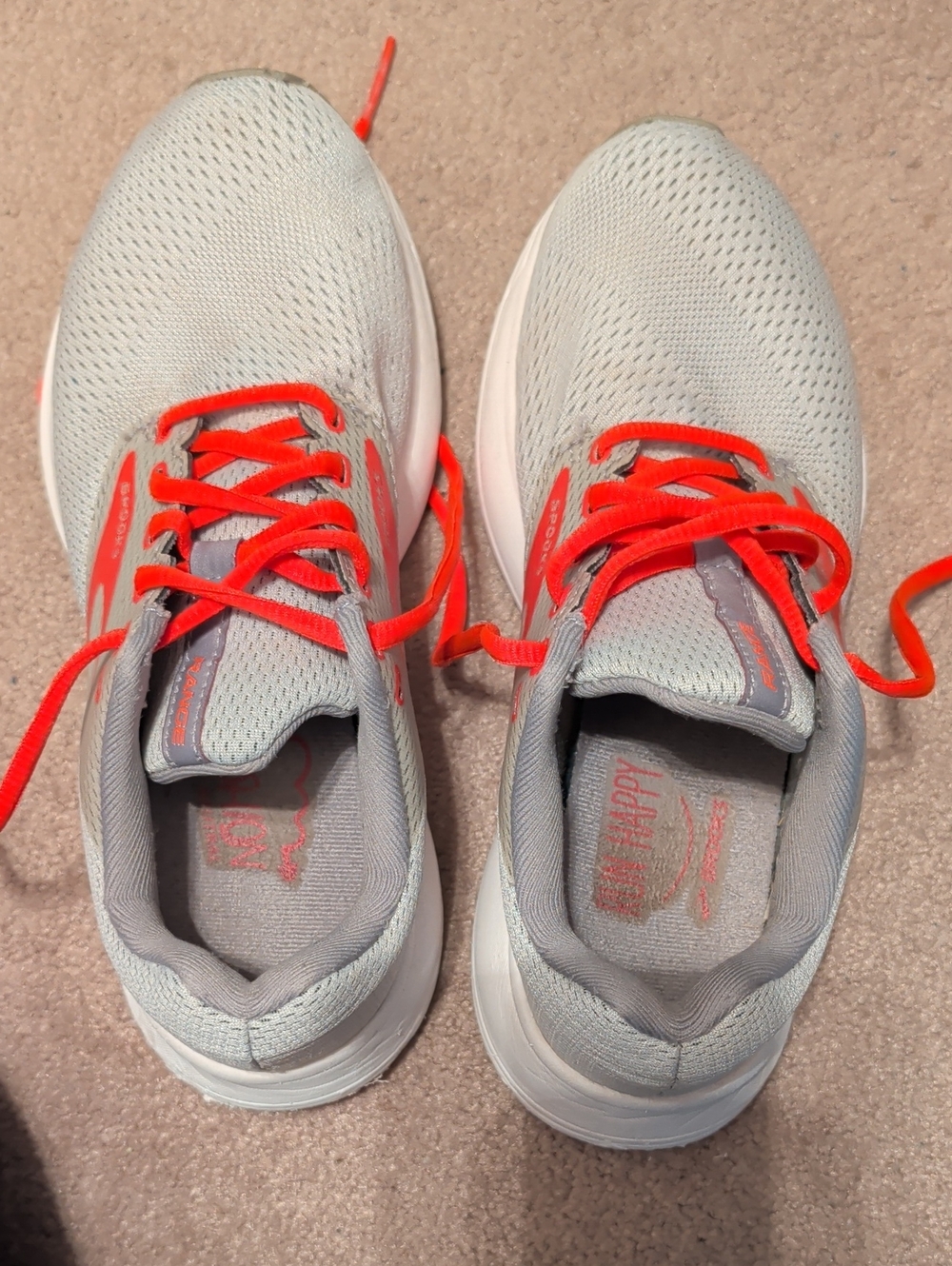 Brooks Range DNA